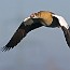 thumbs/IMG_8928.jpg